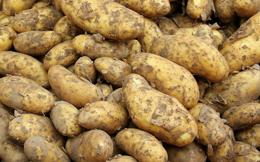 The potato crop was a success from Chrome web store to be run with OffiDocs Chromium online The potato crop was a success from Chrome web store to be run with OffiDocs Chromium online