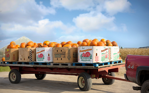 The pumpkin cart is full from Chrome web store to be run with OffiDocs Chromium online The pumpkin cart is full from Chrome web store to be run with OffiDocs Chromium online