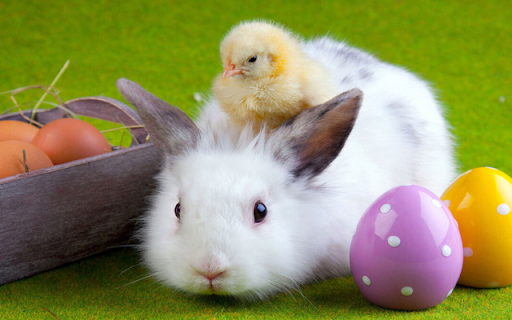 The Rabbit and the Chick: A Heartwarming Friendship from Chrome web store to be run with OffiDocs Chromium online The Rabbit and the Chick: A Heartwarming Friendship from Chrome web store to be run with OffiDocs Chromium online