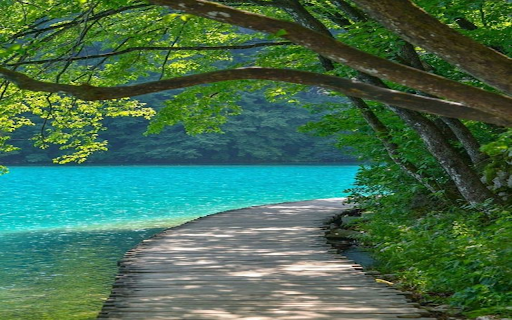 The road by the lake Wallpaper from Chrome web store to be run with OffiDocs Chromium online The road by the lake Wallpaper from Chrome web store to be run with OffiDocs Chromium online