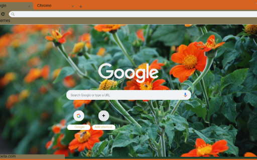 Tithonia Torch from Chrome web store to be run with OffiDocs Chromium online Tithonia Torch from Chrome web store to be run with OffiDocs Chromium online