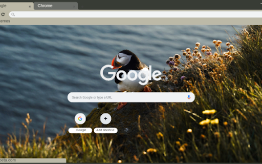 Toucan from Chrome web store to be run with OffiDocs Chromium online Toucan from Chrome web store to be run with OffiDocs Chromium online