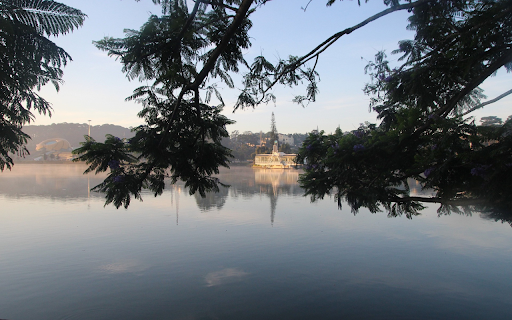Tree branches by the lake from Chrome web store to be run with OffiDocs Chromium online Tree branches by the lake from Chrome web store to be run with OffiDocs Chromium online