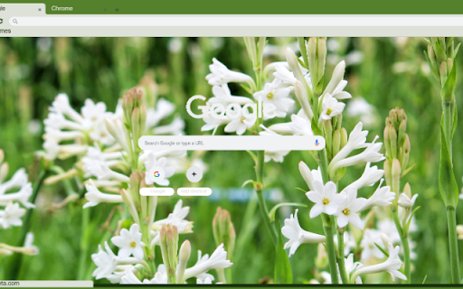 Tuberose from Chrome web store to be run with OffiDocs Chromium online Tuberose from Chrome web store to be run with OffiDocs Chromium online