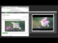 Turbo Download Manager (Classic) from Chrome web store to be run with OffiDocs Chromium online Turbo Download Manager (Classic) from Chrome web store to be run with OffiDocs Chromium online