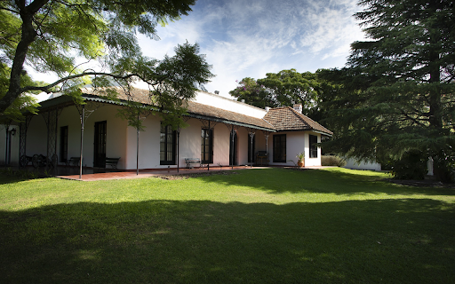 two lovely parrots from Chrome web store to be run with OffiDocs Chromium online two lovely parrots from Chrome web store to be run with OffiDocs Chromium online