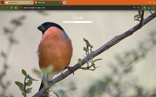 Ubuntu Oracular Oriole Oriole from Chrome web store to be run with OffiDocs Chromium online Ubuntu Oracular Oriole Oriole from Chrome web store to be run with OffiDocs Chromium online