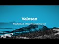 Valosan GMail Extension from Chrome web store to be run with OffiDocs Chromium online Valosan GMail Extension from Chrome web store to be run with OffiDocs Chromium online