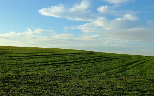 Vast green fields from Chrome web store to be run with OffiDocs Chromium online Vast green fields from Chrome web store to be run with OffiDocs Chromium online
