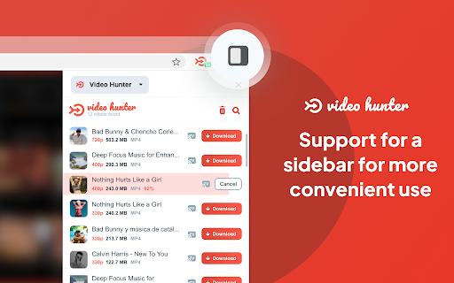 Video Hunter Downloader from Chrome web store to be run with OffiDocs Chromium online Video Hunter Downloader from Chrome web store to be run with OffiDocs Chromium online
