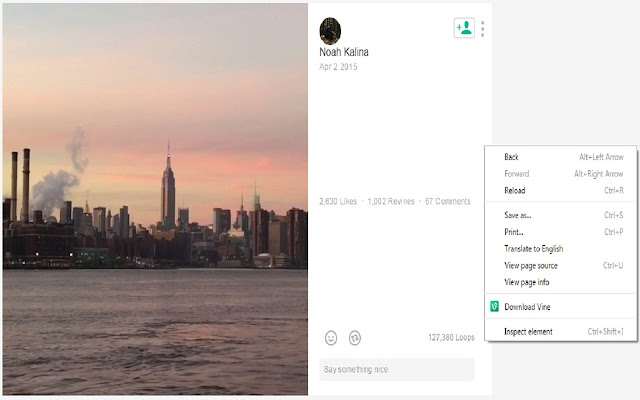 Vine Downloader from Chrome web store to be run with OffiDocs Chromium online Vine Downloader from Chrome web store to be run with OffiDocs Chromium online