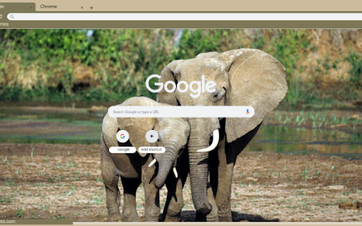 Voi from Chrome web store to be run with OffiDocs Chromium online Voi from Chrome web store to be run with OffiDocs Chromium online