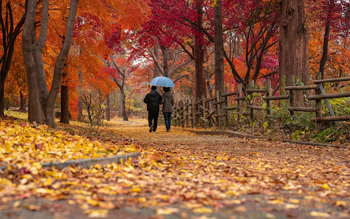 Walk in the park from Chrome web store to be run with OffiDocs Chromium online Walk in the park from Chrome web store to be run with OffiDocs Chromium online
