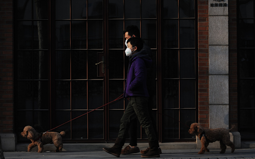 Walk the dog from Chrome web store to be run with OffiDocs Chromium online Walk the dog from Chrome web store to be run with OffiDocs Chromium online