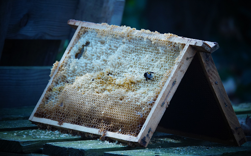 Wax and honey from Chrome web store to be run with OffiDocs Chromium online Wax and honey from Chrome web store to be run with OffiDocs Chromium online