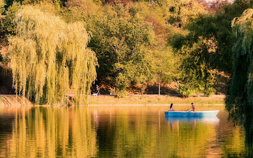 Weeping Trees by the Lake from Chrome web store to be run with OffiDocs Chromium online Weeping Trees by the Lake from Chrome web store to be run with OffiDocs Chromium online