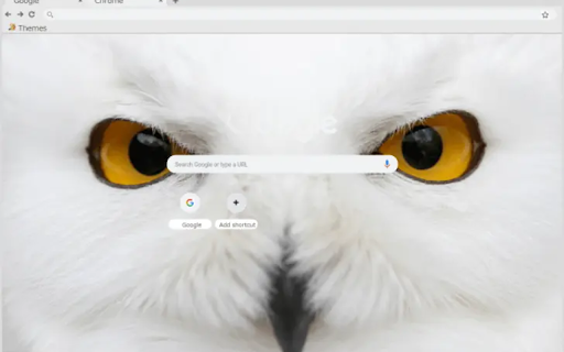 White Owl from Chrome web store to be run with OffiDocs Chromium online White Owl from Chrome web store to be run with OffiDocs Chromium online