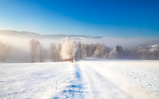 Winter Path Through a Frozen Countryside from Chrome web store to be run with OffiDocs Chromium online Winter Path Through a Frozen Countryside from Chrome web store to be run with OffiDocs Chromium online