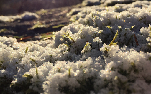 Winter Sparkle from Chrome web store to be run with OffiDocs Chromium online Winter Sparkle from Chrome web store to be run with OffiDocs Chromium online