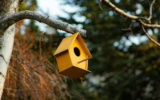 Wooden bird nest from Chrome web store to be run with OffiDocs Chromium online Wooden bird nest from Chrome web store to be run with OffiDocs Chromium online
