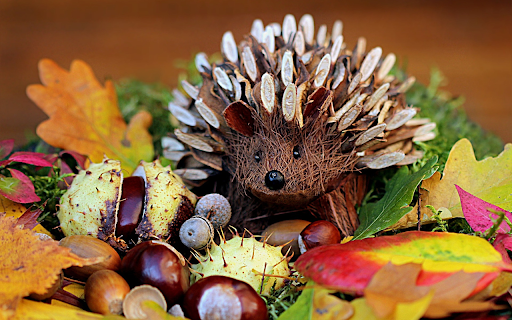 Wooden hedgehog from Chrome web store to be run with OffiDocs Chromium online Wooden hedgehog from Chrome web store to be run with OffiDocs Chromium online