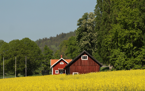 Yellow Field in Jonkoping County from Chrome web store to be run with OffiDocs Chromium online Yellow Field in Jonkoping County from Chrome web store to be run with OffiDocs Chromium online