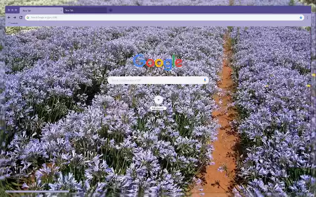 A field of purple flowers from Chrome web store to be run with OffiDocs Chromium online A field of purple flowers from Chrome web store to be run with OffiDocs Chromium online