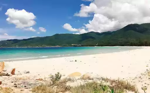 Bai bien Tien Phong from Chrome web store to be run with OffiDocs Chromium online Bai bien Tien Phong from Chrome web store to be run with OffiDocs Chromium online