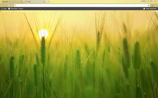 Barley field from Chrome web store to be run with OffiDocs Chromium online Barley field from Chrome web store to be run with OffiDocs Chromium online