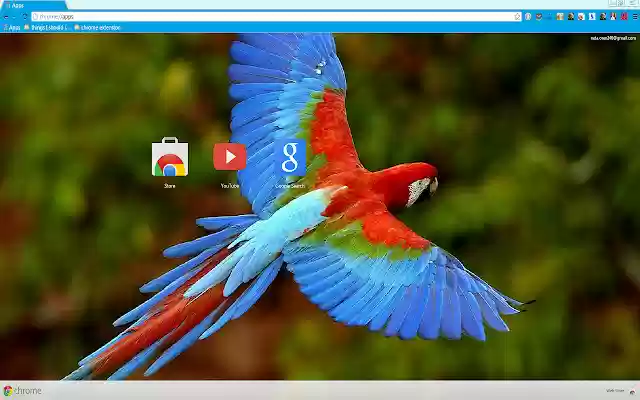 Beautiful Parrot from Chrome web store to be run with OffiDocs Chromium online Beautiful Parrot from Chrome web store to be run with OffiDocs Chromium online