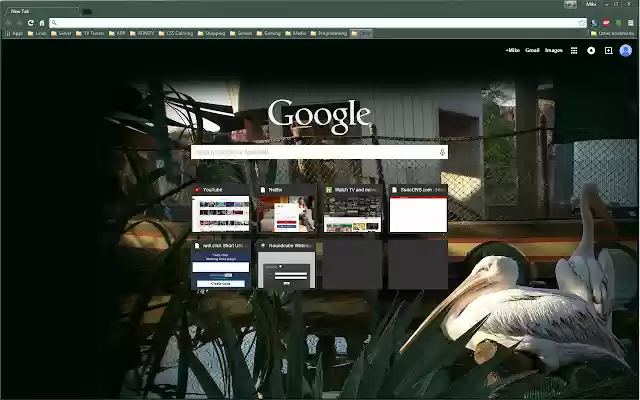 Beautiful Pelican from Chrome web store to be run with OffiDocs Chromium online Beautiful Pelican from Chrome web store to be run with OffiDocs Chromium online