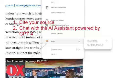 BibBib from Chrome web store to be run with OffiDocs Chromium online BibBib from Chrome web store to be run with OffiDocs Chromium online