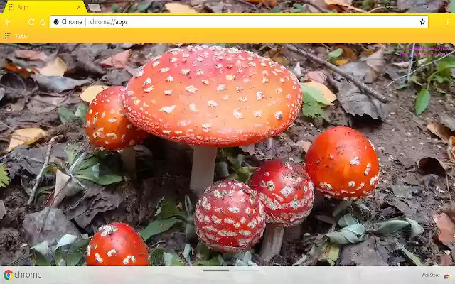 Big team from Chrome web store to be run with OffiDocs Chromium online Big team from Chrome web store to be run with OffiDocs Chromium online