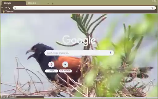 Bim bip from Chrome web store to be run with OffiDocs Chromium online Bim bip from Chrome web store to be run with OffiDocs Chromium online