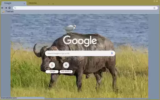 Bo ma from Chrome web store to be run with OffiDocs Chromium online Bo ma from Chrome web store to be run with OffiDocs Chromium online