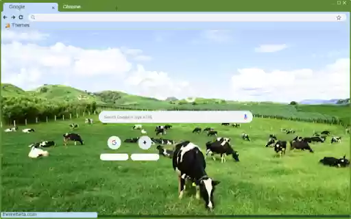 Bo sua from Chrome web store to be run with OffiDocs Chromium online Bo sua from Chrome web store to be run with OffiDocs Chromium online