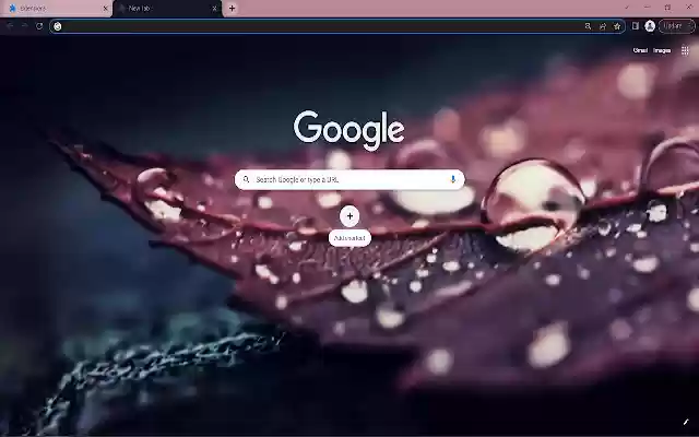 Brown leaf Browser Theme from Chrome web store to be run with OffiDocs Chromium online Brown leaf Browser Theme from Chrome web store to be run with OffiDocs Chromium online
