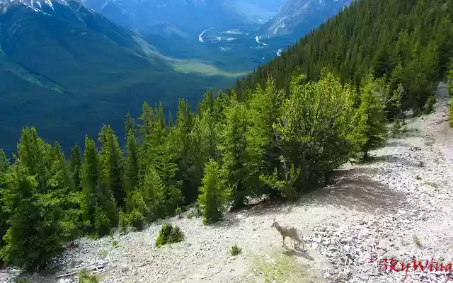 Canadian Rockies from Chrome web store to be run with OffiDocs Chromium online Canadian Rockies from Chrome web store to be run with OffiDocs Chromium online