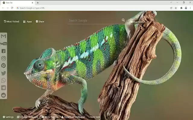 Chameleon Wallpaper HD New Tab from Chrome web store to be run with OffiDocs Chromium online Chameleon Wallpaper HD New Tab from Chrome web store to be run with OffiDocs Chromium online