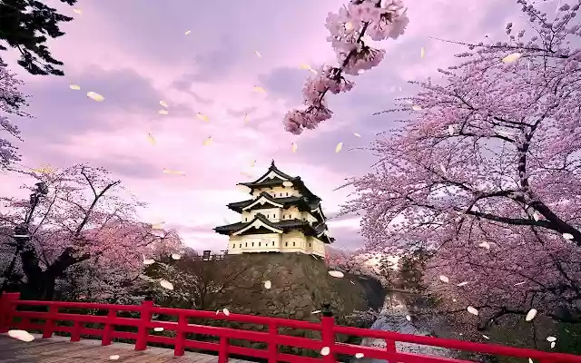Cherry Blossom Petals from Chrome web store to be run with OffiDocs Chromium online Cherry Blossom Petals from Chrome web store to be run with OffiDocs Chromium online