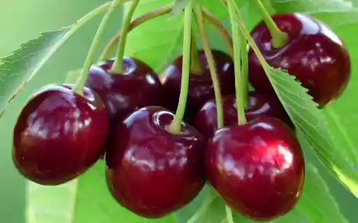 Cherry giggled from Chrome web store to be run with OffiDocs Chromium online Cherry giggled from Chrome web store to be run with OffiDocs Chromium online
