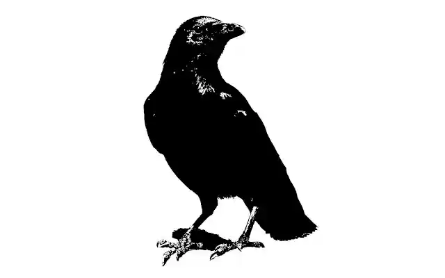 Crows from Chrome web store to be run with OffiDocs Chromium online Crows from Chrome web store to be run with OffiDocs Chromium online