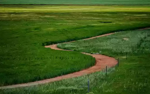 Curvy road from Chrome web store to be run with OffiDocs Chromium online Curvy road from Chrome web store to be run with OffiDocs Chromium online