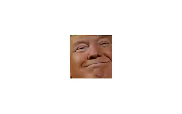 Dear Trump from Chrome web store to be run with OffiDocs Chromium online Dear Trump from Chrome web store to be run with OffiDocs Chromium online