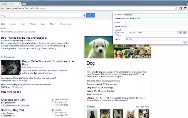 Developer URL bar from Chrome web store to be run with OffiDocs Chromium online Developer URL bar from Chrome web store to be run with OffiDocs Chromium online