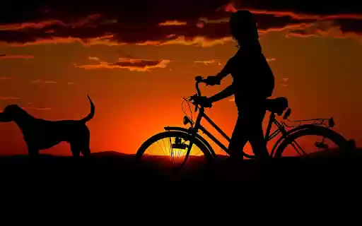 Dog and girl riding a bicycle from Chrome web store to be run with OffiDocs Chromium online Dog and girl riding a bicycle from Chrome web store to be run with OffiDocs Chromium online