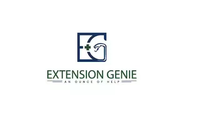 Extension Genie from Chrome web store to be run with OffiDocs Chromium online Extension Genie from Chrome web store to be run with OffiDocs Chromium online