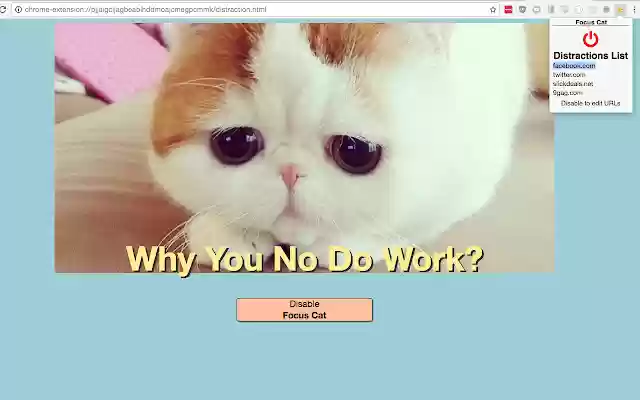 Focus Cat from Chrome web store to be run with OffiDocs Chromium online Focus Cat from Chrome web store to be run with OffiDocs Chromium online