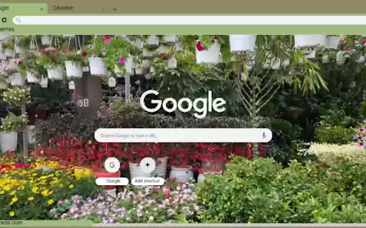 Foxface from Chrome web store to be run with OffiDocs Chromium online Foxface from Chrome web store to be run with OffiDocs Chromium online