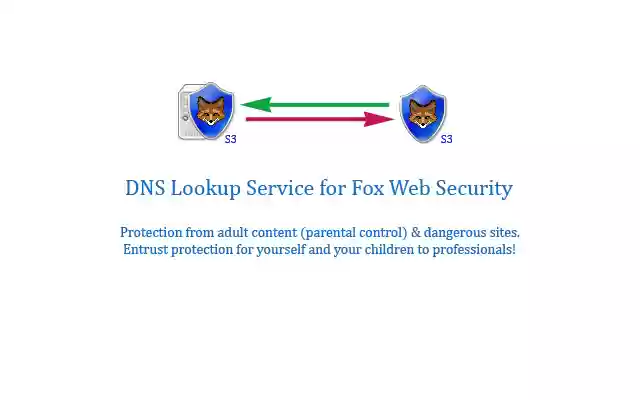Fox Web Security (DNS Lookup Service) from Chrome web store to be run with OffiDocs Chromium online Fox Web Security (DNS Lookup Service) from Chrome web store to be run with OffiDocs Chromium online